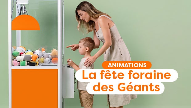 Fête foraine braderie des géants